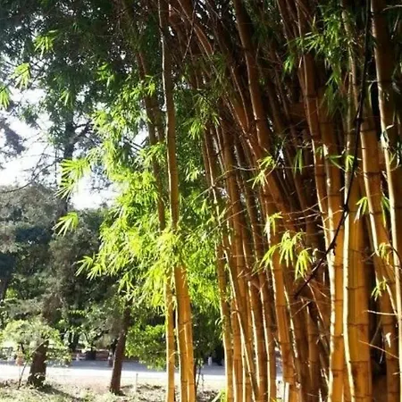 Apartamento Encantador Com Shopping E Piscina Brasilia Exterior photo