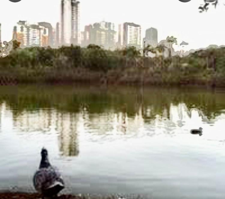 Encantador Com Shopping E Piscina Apartment